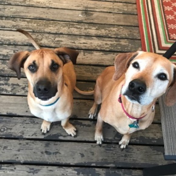 Hey, I'm Chandi! Welcome to my Trashy Boho Closet! - Picture 6 of 6